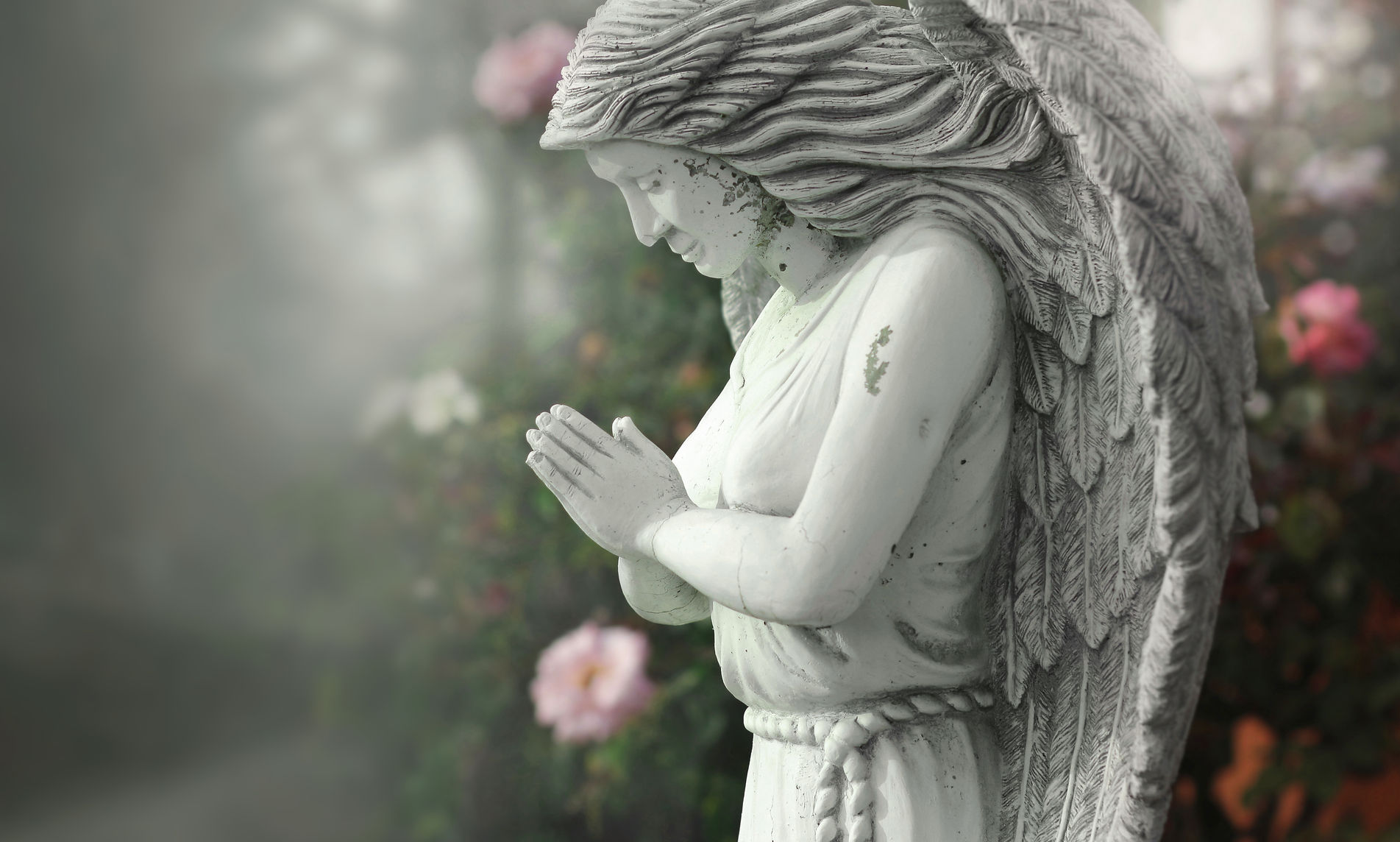 funeraria(img-15)
